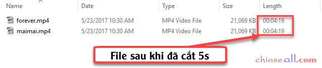 cat dau cat duoi 1 chiaseall