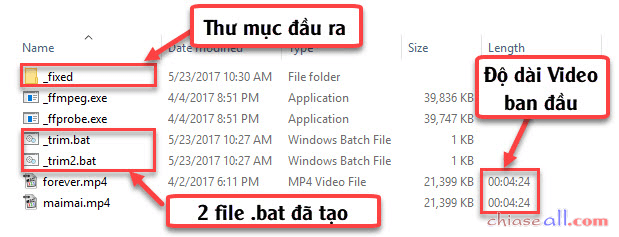 cat dau cat duoi chiaseall