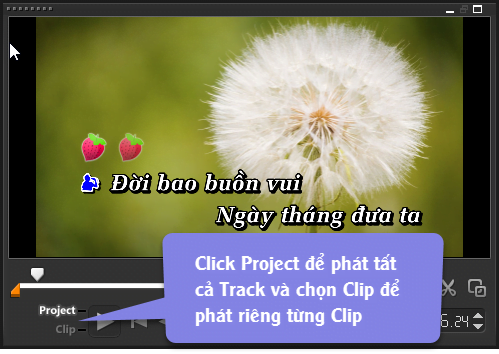 project or clip