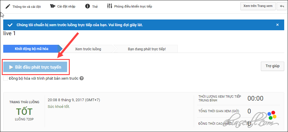 live youtube multi stream 444