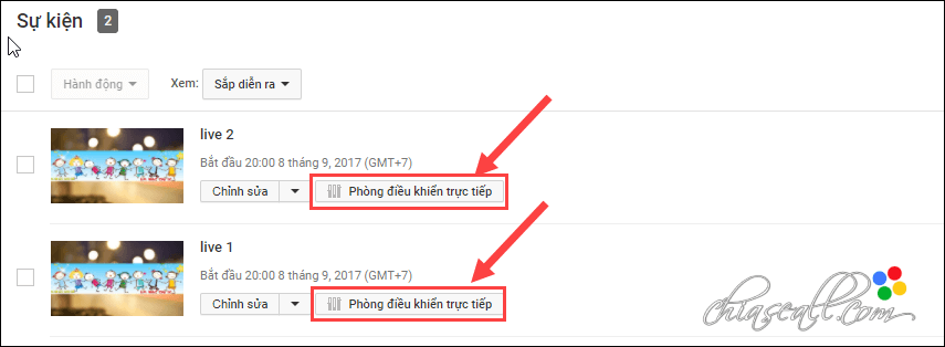 live youtube multi stream 777